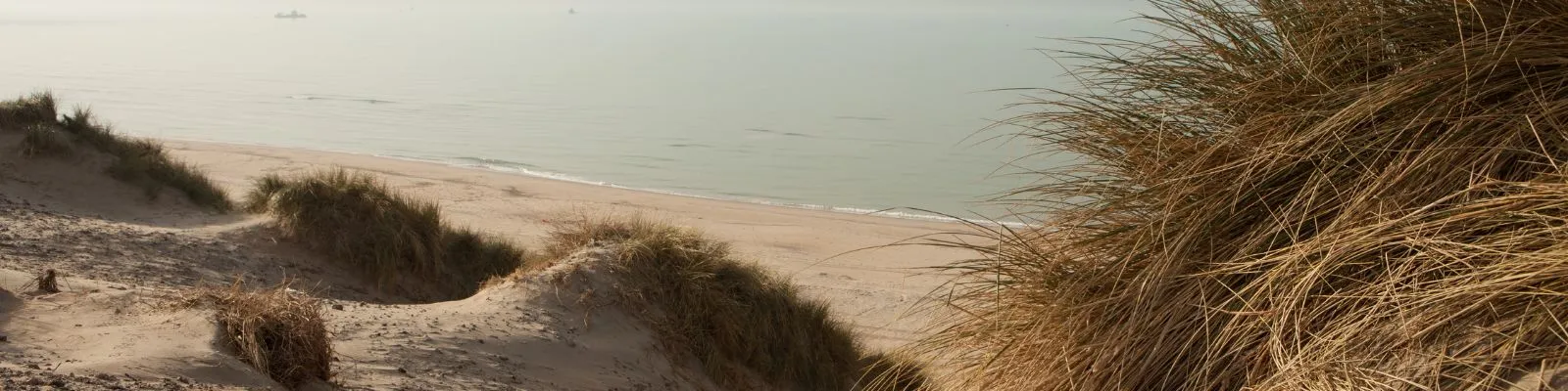 Lijfkracht & Systeemherstel Breda – Jezelf Coaching